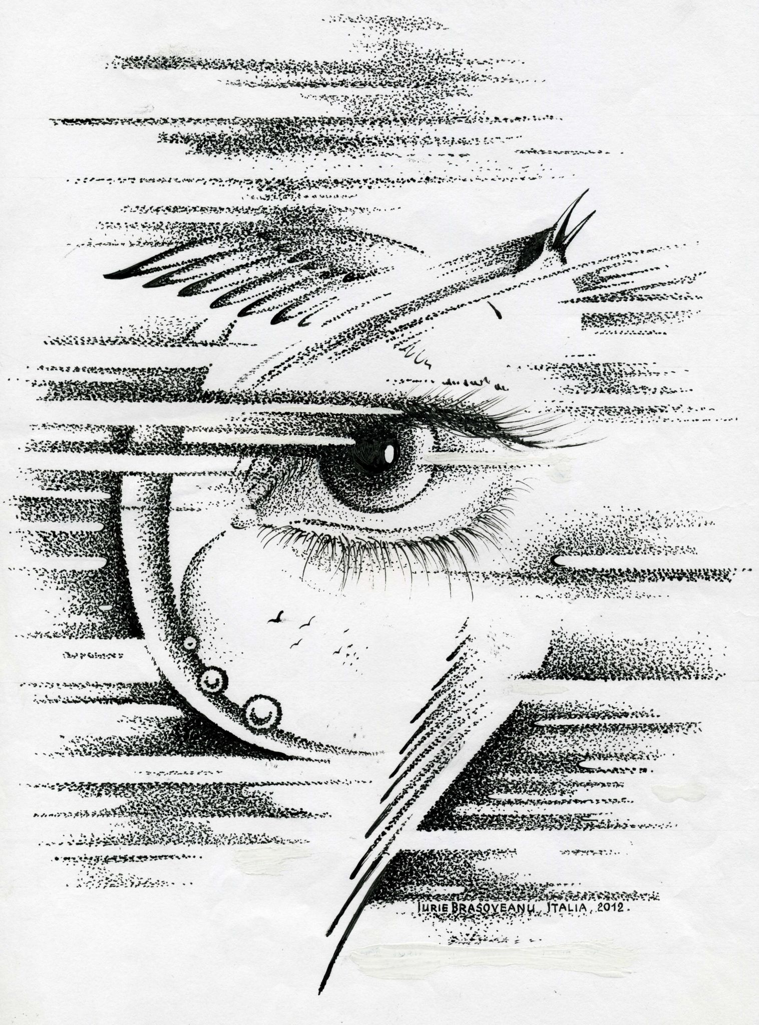 imagine 14_ochiul dintre aripi_coperta╠å