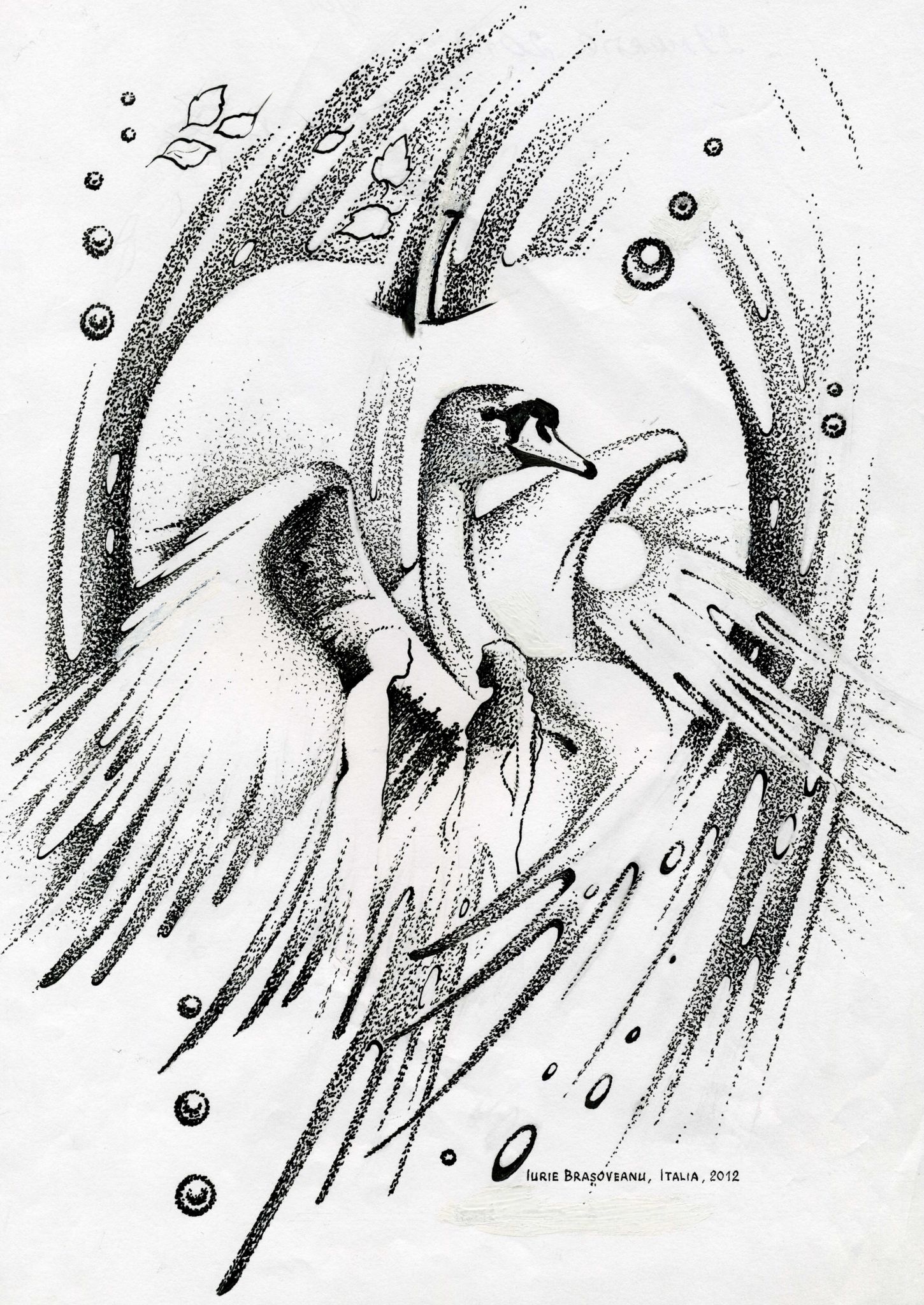 imagine 22_cuplu lebada mar