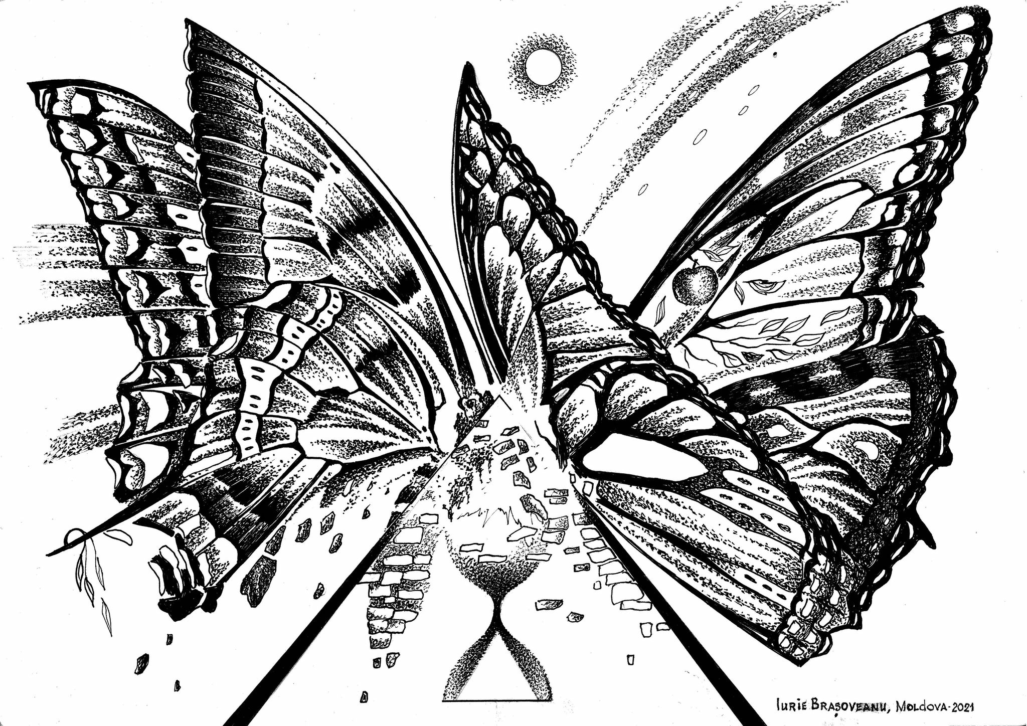 imagine 3_fluture clepsidra