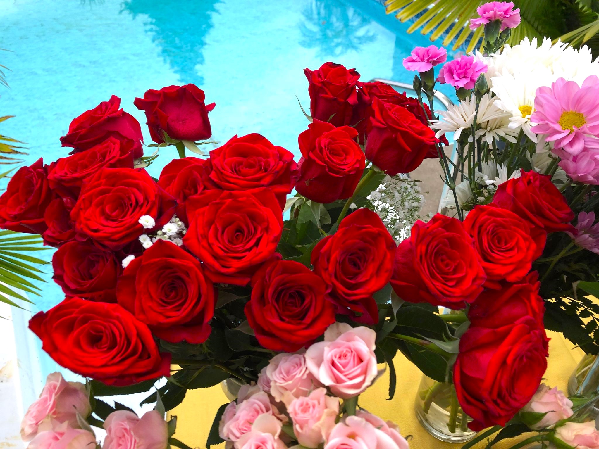 24 sept 2024 flori in curte dupa lansare (29)