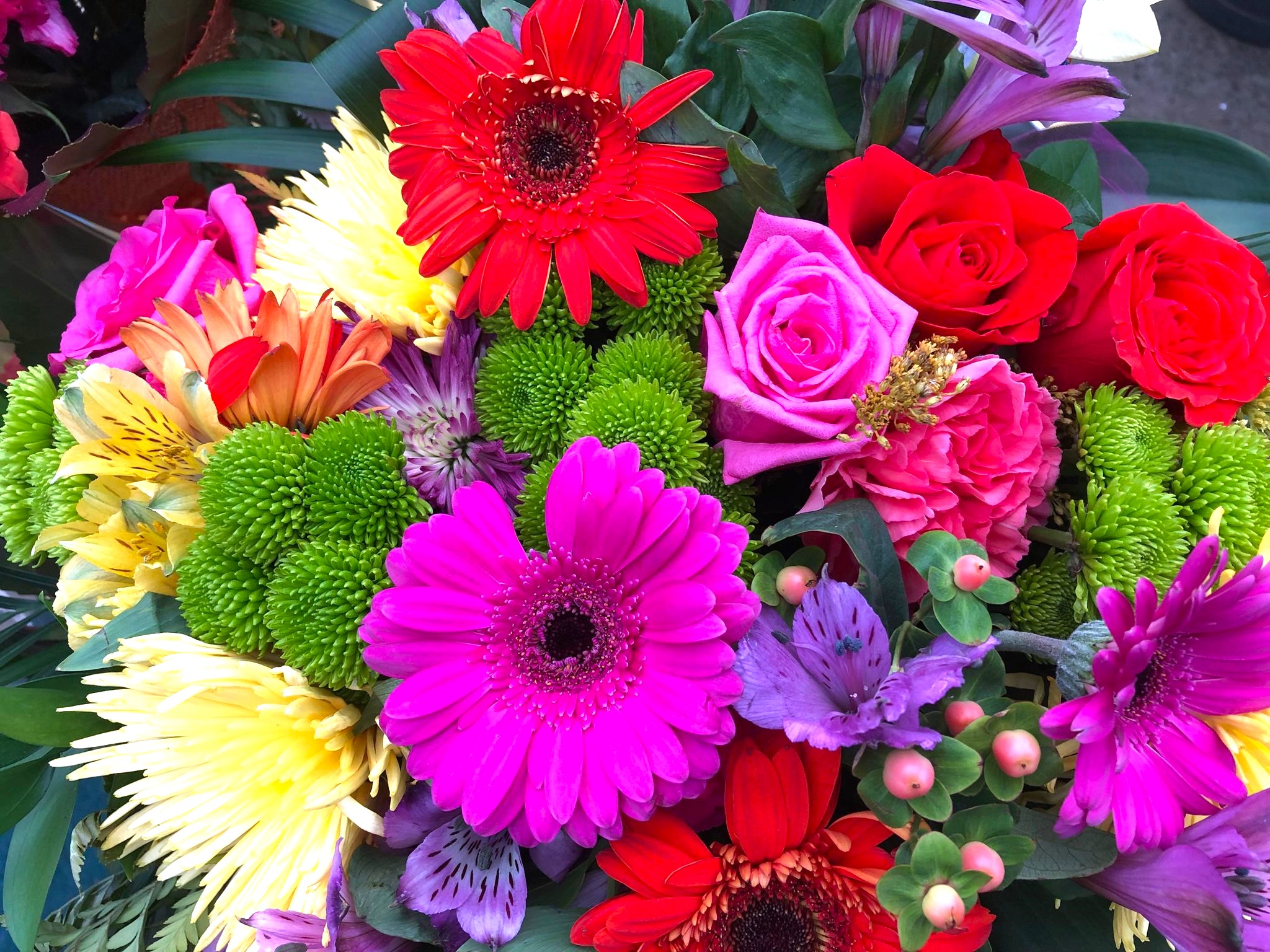 24 sept 2024 flori in curte dupa lansare (37)